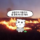 돈가우정고기 | STILL RIIZE STILL BRIIZE