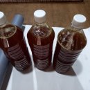 동부참기름 이미지