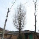 김천시 감문면사무소 (1층) 이미지