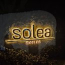 부퇴사 | 세부로 이행시 해보겠습니다