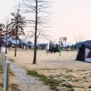 황산공원 축구장 네이버블로그