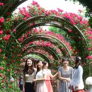 수림공원 이미지