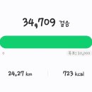 올드 트리 이미지