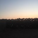 제주라이프 이미지