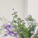 (주)위캔케어 이미지