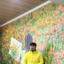 창원기계공구상가 | 창원 퍼스널컬러 남자 진단 후기, 얼굴이 환해진 이유 올더컬러스