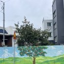 독새기김밥 | 새벽 3시 40분에 오픈하는 봉개독새기김밥