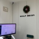 나성전기 | 탈모 고민? 스칼프리온 나성점에서 셀피어스 받고 완전 후회없음! 😍 세종탈모 해결!
