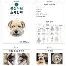 강남다온동물병원 이미지