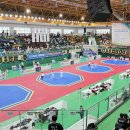 꿈나무태권도체육관 이미지