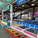 만선수산 | 처음 먹어본 줄가자미,묵호항 만나수산