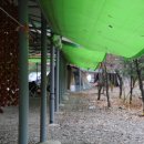 래미안밸리캠핑장 이미지