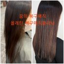 김송정머리터 이미지