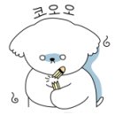어야가자 이미지