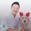 보듬샵 이미지