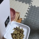 콩이네 방앗간 | [콩이네 방앗간] 강아지 수제 화식, 특식(특별식) 후기