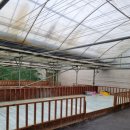 기덕농장 이미지