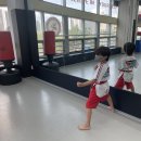 STS한국체대태권도 이미지