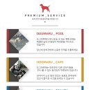 빅토리아펫 강아지고양이 잠실점 이미지