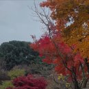 축령산 코지인 이미지