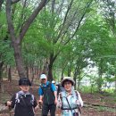 751회 8월26일 대모산 산행 이미지
