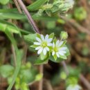 제2회 이웃사촌 가요제 이미지