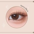 뉴오로라 이미지