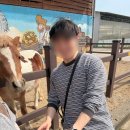 부림1길 | 26년 3월