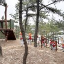 생태숲야외화장실 이미지