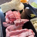 뚱보네숯불구이 이미지