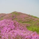 바래봉 팔랑치는 지금 천상화원 이미지