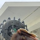 시내미용실 - 춘천시 | 안동시내미용실 이철헤어커커 안동점에서 중단발 레이어드 C컬펌 받은 후기