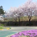 일신자동차 이미지