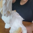 명지국제신도시 식빵 맛집 &#34;갓식빵&#34; 내돈내산후기