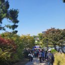 ●제15회 YTN 남산 가족걷기 대회(남산 둘레길 6km) 이미지