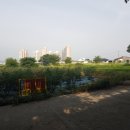 코아루부자공인중개사사무소 이미지