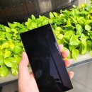 어느 기자의 갤럭시 S24 실시간 통역 기능 사용 후기..JPG 이미지