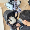 수영이네족발