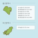 중앙농협태화지점 이미지