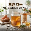 덧셈유통 | 초란 효능, 알고 먹으면 더 좋은 식초 달걀의 놀라운 건강 시너지