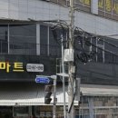 원미청과