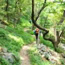 수정4동초소 이미지