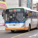 삼안여객 이미지