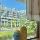 공주교육대학교 | 대학원-7. 공주교대 계절제 교육대학원 아동문학교육과 2025 여름 3학기 차 (교육연극, 교과서문학연구)