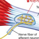 가로세로한의원 이미지