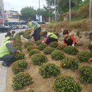 내덕2동 행정복지센터 이미지