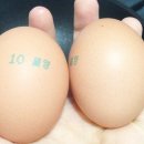 달구지농원