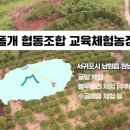 폴개네제주드림캠프 이미지