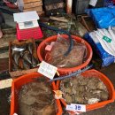 춘장대마트 이미지