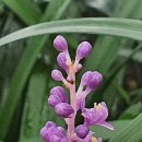 신촌숲약국 이미지